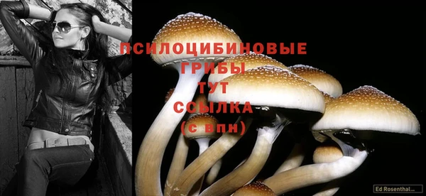 СК Баксан