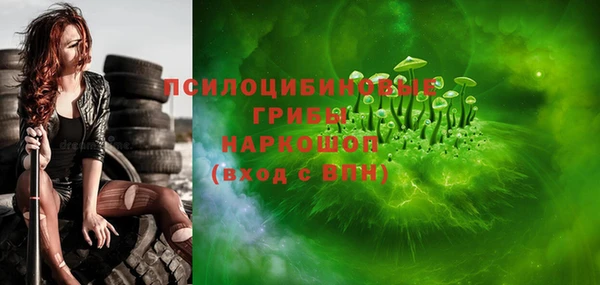 сатива Балахна