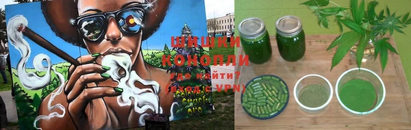 сатива Балахна