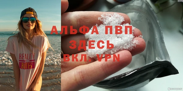 сатива Балахна