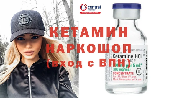 сатива Балахна