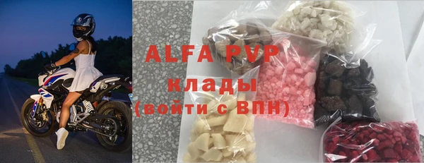 сатива Балахна