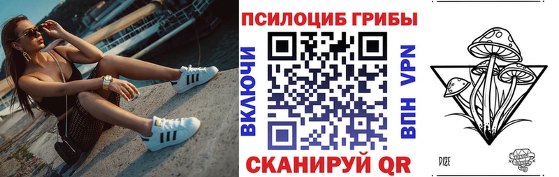 blacksprut ссылки  как найти закладки  Кондрово  Галлюциногенные грибы GOLDEN TEACHER 